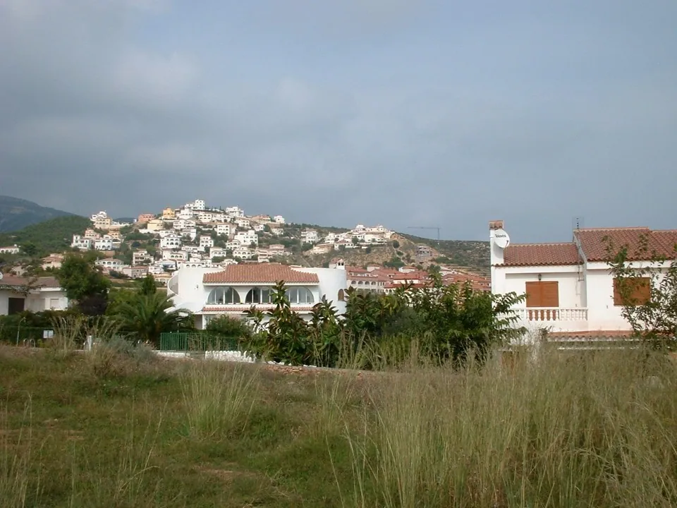 Panaramic i